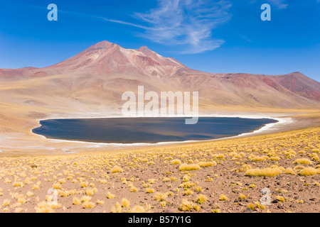 Laguna Miscanti, Los Flamencos Nationalreservat, Atacama-Wüste Region Antofagasta, Chile Stockfoto