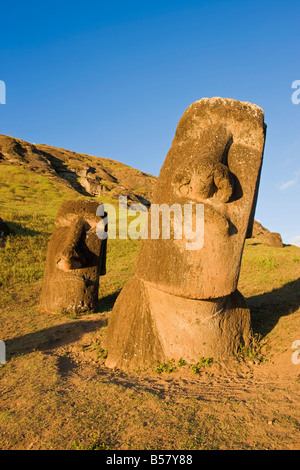 Riesige monolithische steinernen Moai Statuen am Rano Raraku, Rapa Nui (Osterinsel), UNESCO-Weltkulturerbe, Chile, Südamerika Stockfoto