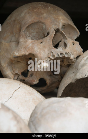 Einige der 9000 Schädel, The Killing Fields Choeung Ek, Phnom Penh, Kambodscha, Indochina, Südostasien, Asien Stockfoto