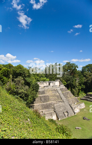 Plaza A Tempel, Maya-Ruinen, Caracol, Belize, Mittelamerika Stockfoto