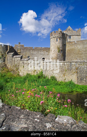 Cahir Castle, Cahir Stadt, Grafschaft Tipperary, Munster, Irland, Europa Stockfoto