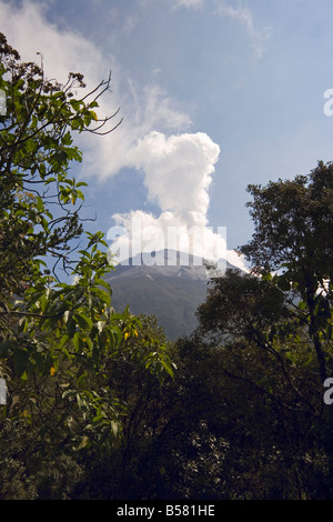 Rauch steigt aus dem aktiven Krater des Vulkan Tungurahua, Provinz Ambato, Ecuador Stockfoto