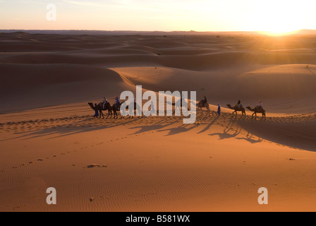 Dromedare, die Touristen auf eine Fahrt mit Sonnenuntergang, Merzouga, Marokko, die Wüste Sahara, Nordafrika, Afrika Stockfoto