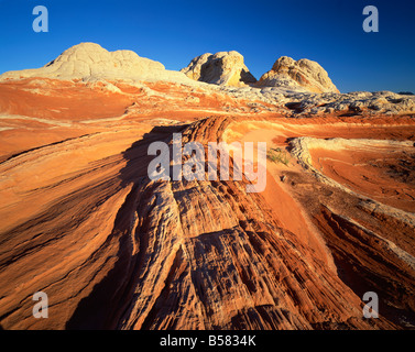 Sandstein-Formationen, White Pockets, Paria Plateau, Northern Arizona, Vereinigte Staaten von Amerika, Nordamerika Stockfoto