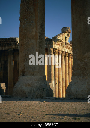 Tempel des Bacchus, Baalbek, UNESCO World Heritage Site, Libanon, Naher Osten Stockfoto