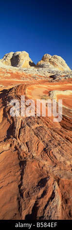 Sandstein-Formationen, White Pockets, Paria Plateau, Northern Arizona, Vereinigte Staaten von Amerika, Nordamerika Stockfoto