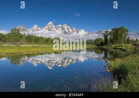 Die Kathedrale-Gruppe von Mount Teewinot, Schwabacher's Landing, Grand-Teton-Nationalpark, Wyoming Stockfoto