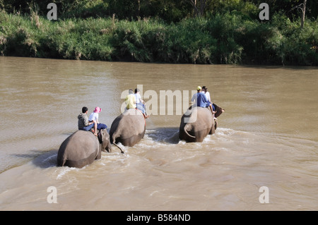 Touristen und Elefanten im Anantara Golden Triangle Resort, Sop Ruak, Goldenes Dreieck, Thailand, Südostasien, Asien Stockfoto