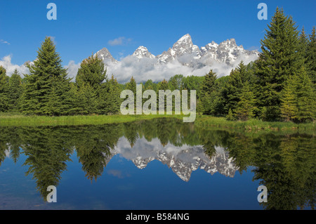Die Kathedrale-Gruppe von Mount Teewinot, Schwabacher's Landing, Grand-Teton-Nationalpark, Wyoming Stockfoto