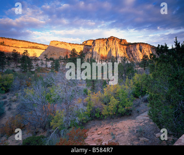 Zunächst Licht auf die Hügel, Zion Nationalpark, Utah, Vereinigte Staaten von Amerika, Nordamerika Stockfoto