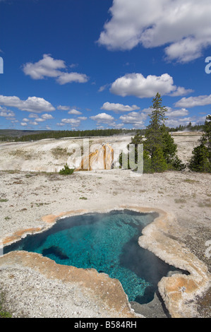 Blue Star Spring, Upper Geyser Basin, Yellowstone National Park, UNESCO World Heritage Site, Wyoming, Vereinigte Staaten von Amerika Stockfoto