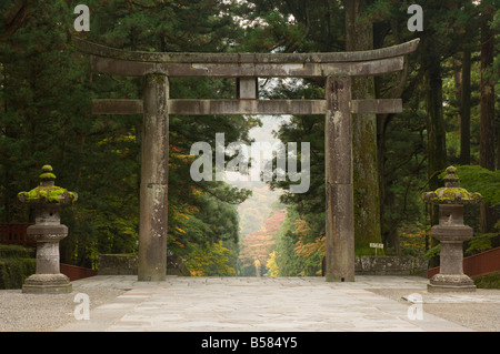 Stein-Torii, Tosho-gu Schrein, Nikko, zentralen Honshu (Chubu), Japan, Asien Stockfoto