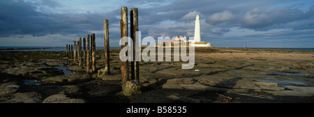 Leuchtturm von St. Marien und St. Marien Island im Abendlicht, in der Nähe von Whitley Bay, Tyne and Wear, England, Vereinigtes Königreich, Europa Stockfoto