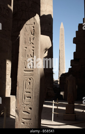 Hieroglyphen auf Spalten innerhalb der Tempel von Karnak, Luxor, Theben, UNESCO-Weltkulturerbe, Ägypten, Nordafrika, Afrika Stockfoto