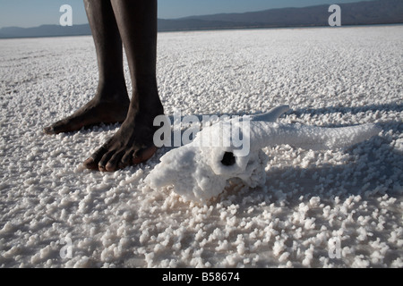 Lac Assal, der tiefste Punkt auf dem afrikanischen Kontinent und die meisten saline Körper des Wassers auf der Erde, Dschibuti, Afrika Stockfoto