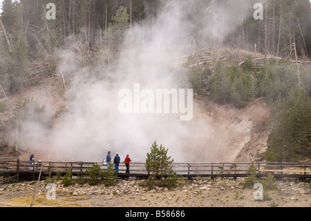Schlamm-Vulkan, Yellowstone National Park, UNESCO World Heritage Site, Wyoming, Vereinigte Staaten von Amerika, Nordamerika Stockfoto