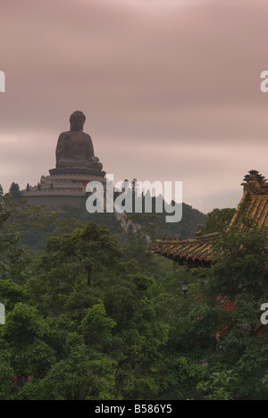 Der Big Buddha Statue, Monastery Po Lin, Lantau Island, Hong Kong, China, Asien Stockfoto