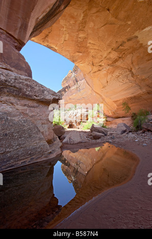 Kachina Naturbrücke, Natural Bridges National Monument, Utah, Vereinigte Staaten von Amerika, Nordamerika Stockfoto