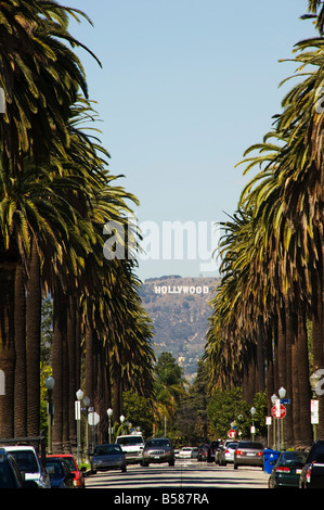 Hollywood Hills und Hollywood-Schild vom Baum gesäumt Beverly Hills Boulevard, Los Angeles, California, Vereinigte Staaten von Amerika Stockfoto
