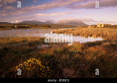 Ballynahinch See und den zwölf Pins, in der Nähe von Clifden, Connemara, County Galway, Connacht, Republik Irland (Eire), Europa Stockfoto