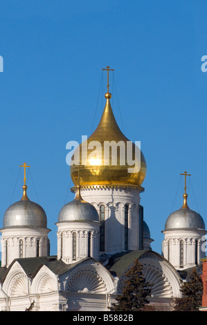 Erzengel-Michael-Kathedrale, Kreml, UNESCO World Heritage Site, Moskau, Russland, Europa Stockfoto