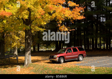 Ein SUV geparkt unter einem Höhepunkt Baum in New Hampshire USA 9. Oktober 2008 Stockfoto