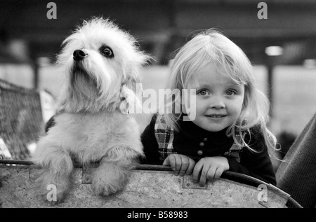 Olympia: Crufts Dog Schnee. Februar 1975 75-00744-004 Stockfoto