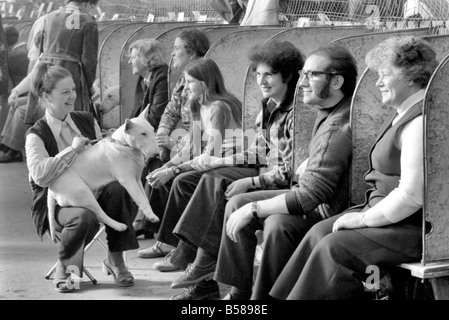 Olympia: Crufts Dog Schnee. Februar 1975 75-00744-007 Stockfoto