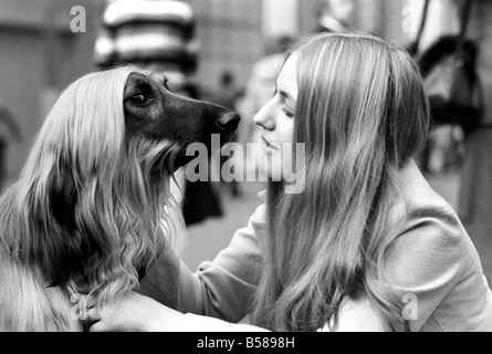 Olympia: Crufts Dog Schnee. Februar 1975 75-00744 Stockfoto