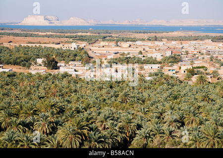 Birket Siwa (Siwa See), Oase Siwa, westliche Wüste, Ägypten, Nordafrika, Afrika Stockfoto