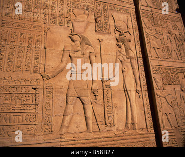 Detail der Reliefschnitzen einschließlich Hieroglyphen Kom Ombo Ägypten Nordafrika Afrika Stockfoto