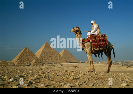 Kamel und Fahrer in der Nähe der Pyramiden, UNESCO-Weltkulturerbe, Gizeh, Kairo, Ägypten, Nordafrika, Afrika Stockfoto