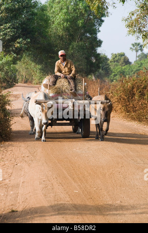 Ochsen Wagen, Kambodscha, Indochina, Südost-Asien Stockfoto