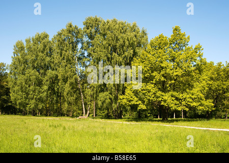 Gesamtansicht der Parkland, Kadriorg Park, Tallinn, Estland Stockfoto