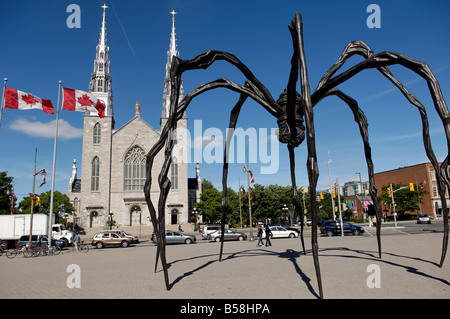 Maman ein 21. Jahrhundert Bronze Skulptur einer Spinne, vor der Kathedrale und der Basilika Notre-Dame, Ottawa, Ontario, Kanada Stockfoto