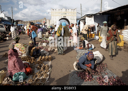 Der Markt am Eingang der Shoa-Tor, eines der sechs Tore in der Stadtmauer von Harar, Äthiopien, Afrika Stockfoto