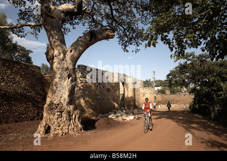 Das Buda-Tor, eines der sechs Tore in der alten ummauerten Stadt Harar, Äthiopien, Afrika Stockfoto