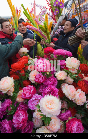 Ein Blumenmarkt am Changdian Street Fair während Chinese New Year, Frühlingsfest, Beijing, China Stockfoto