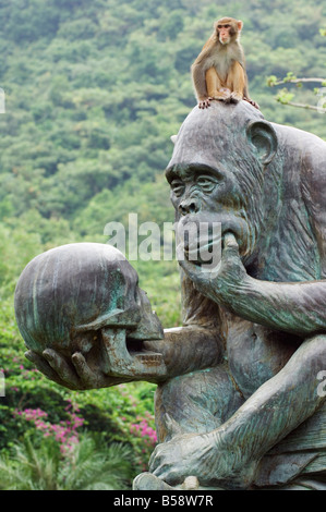 Monkey Island Forschungspark, Provinz Hainan, China Stockfoto