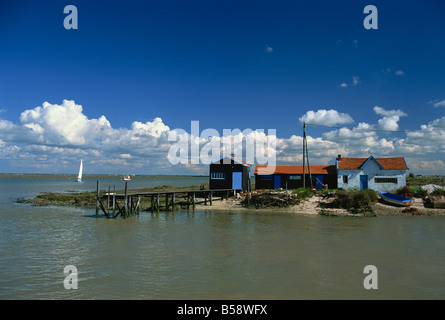 Fluss Seudre Le Tregarde Charente Maritime Poitou Charentes Frankreich Europa Stockfoto