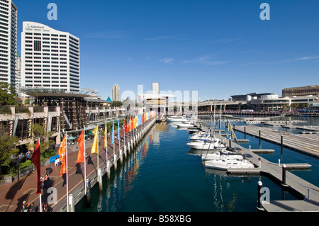 Yachten ankern in Darling Harbour Sydney New South Wales Australien Stockfoto