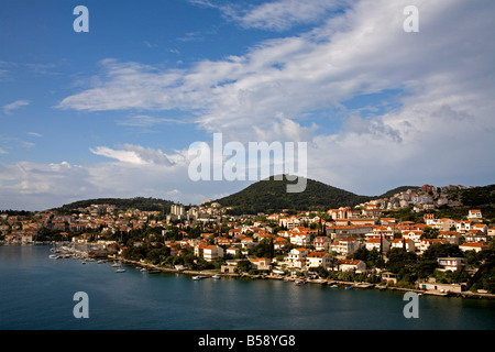 Stadtteil Lapad, Dubrovnik, Dalmatien, Kroatien, Europa Stockfoto