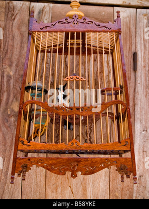 Holz Vogelkäfig in Chiang Khan Thailand Stockfoto