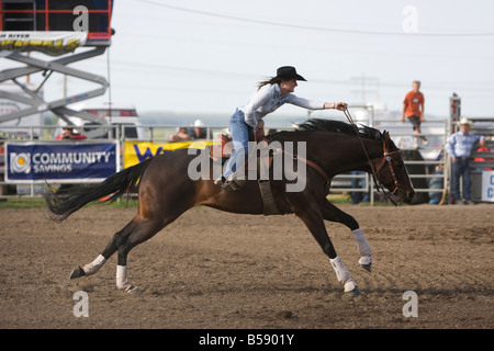 Eine Cowgirl in einem Fass-Rennen bei einem Rodeo läuft ihr Bucht Pferd auf der Zielgeraden. Stockfoto