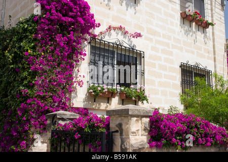 St. Julians, Malta Stockfoto