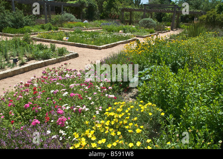 Texas Hill Country Austin Lady Bird Johnson Wildflower Center Themengärten Stockfoto