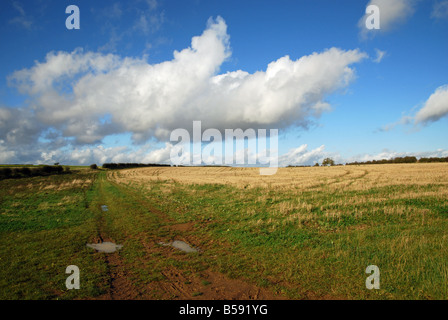 Eine eingeschränkte Byway, Lincolnshire, England. Stockfoto