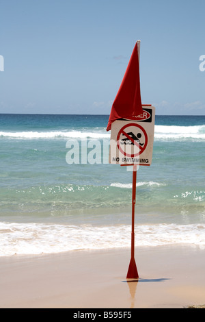 No Swimming Warnschild mit roten Fahne mit Meerblick am Zylinder Beach North Stradbroke Island Queensland QLD Australien Stockfoto