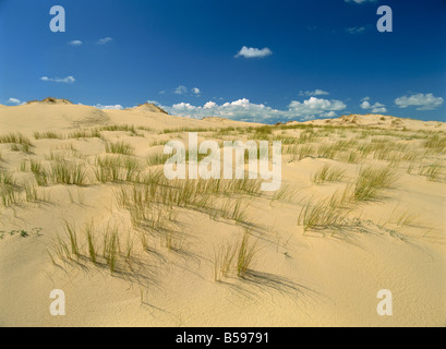 Landschaft aus Sand und Rasen bei Pointe De La Coubre in der Nähe von Royan in der Charente Maritime Poitou Charentes Frankreich Europa Stockfoto