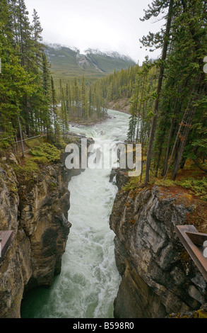 Sunwapta Falls off The Icefields Parkway in Jasper Nationalpark Alberta Kanada Stockfoto